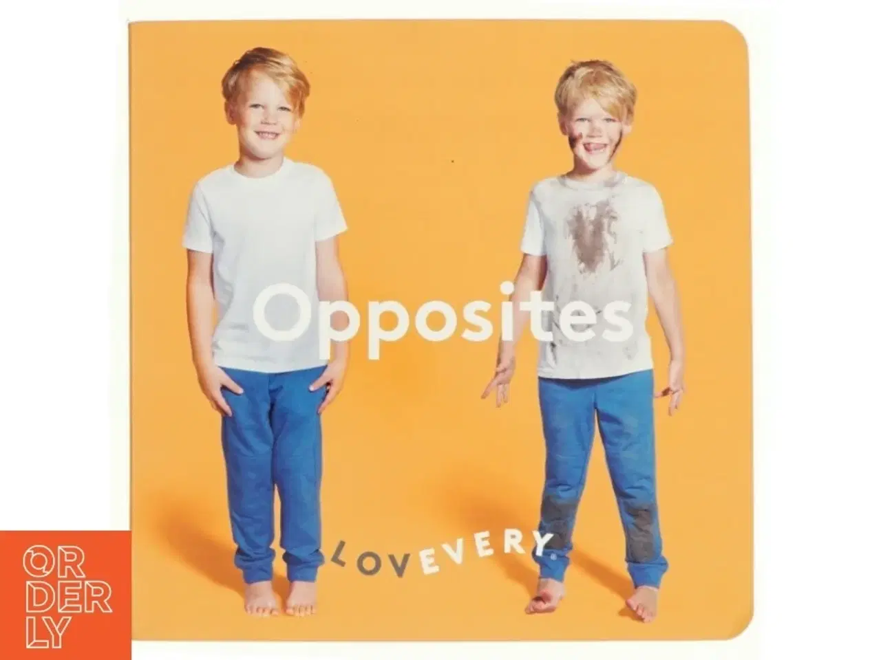 Billede 1 - Opposites