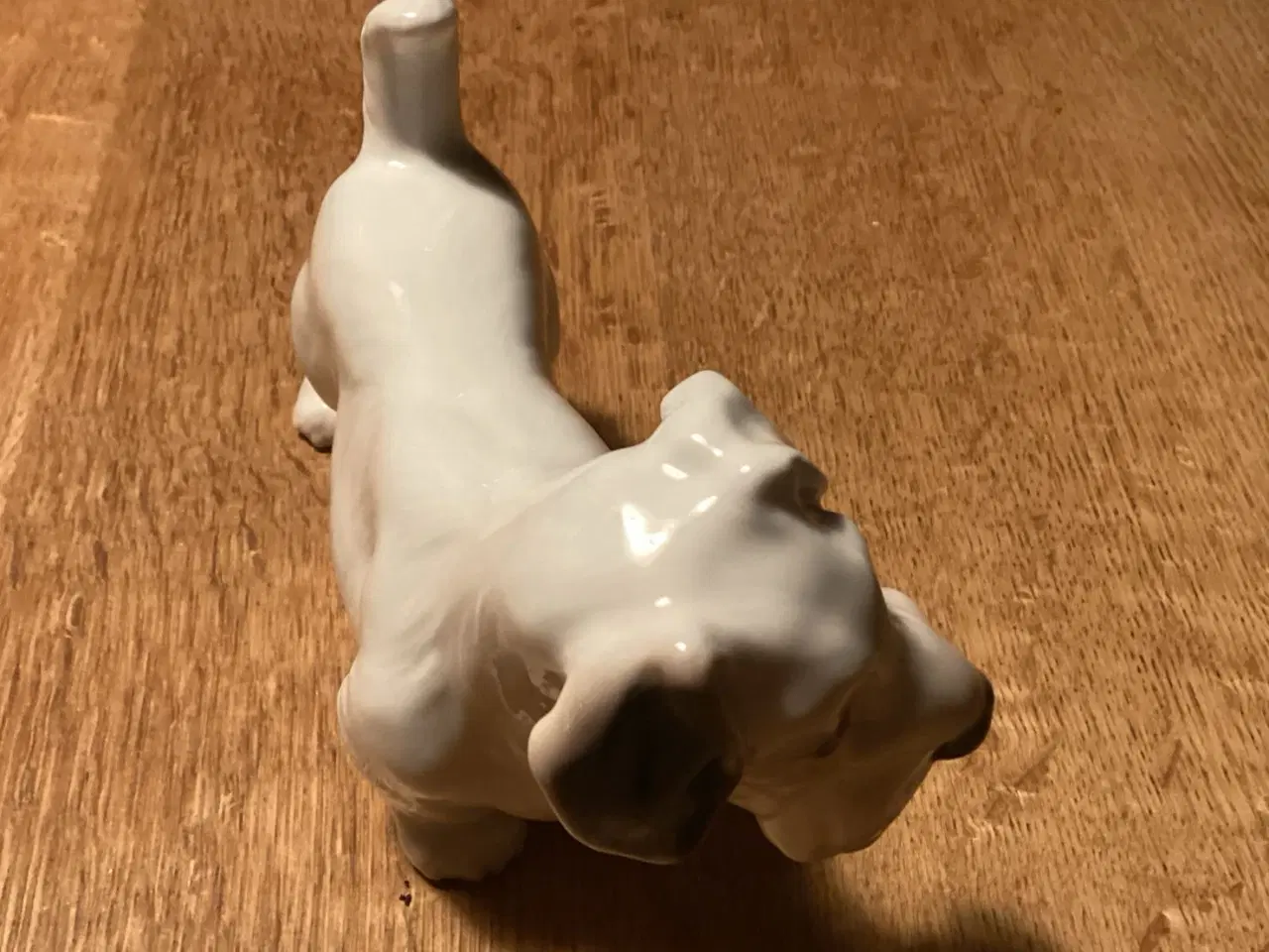 Billede 2 - Bg Skotsk Terrier Hund