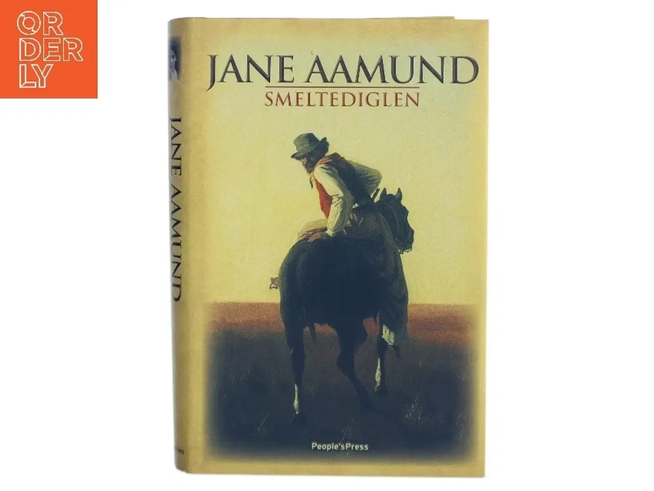 Billede 1 - Smeltediglen : andet bind i slægtskrøniken om de dansk-argentinske indvandrere : roman af Jane Aamund (Bog)