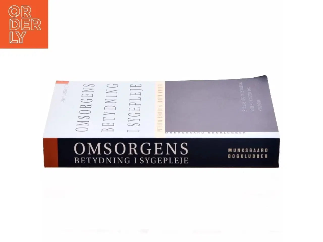 Billede 2 - Omsorgens betydning i sygepleje : stress og mestring ved sundhed og sygdom (Bog)