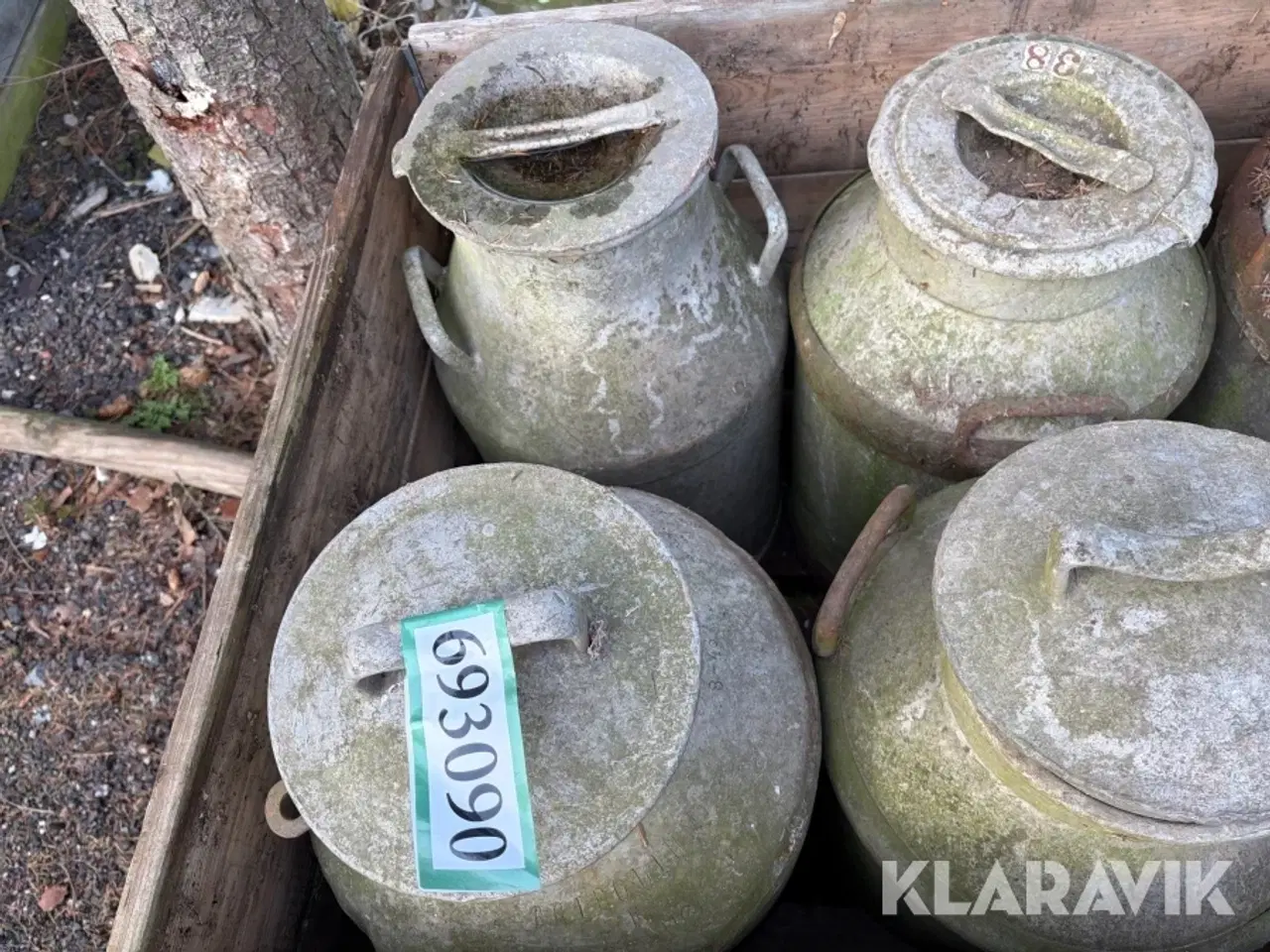 Billede 10 - Mælkejunger 12 styk samlet lot