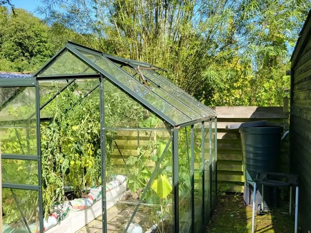 Billede 2 - Solrig kolonihave i Vejle