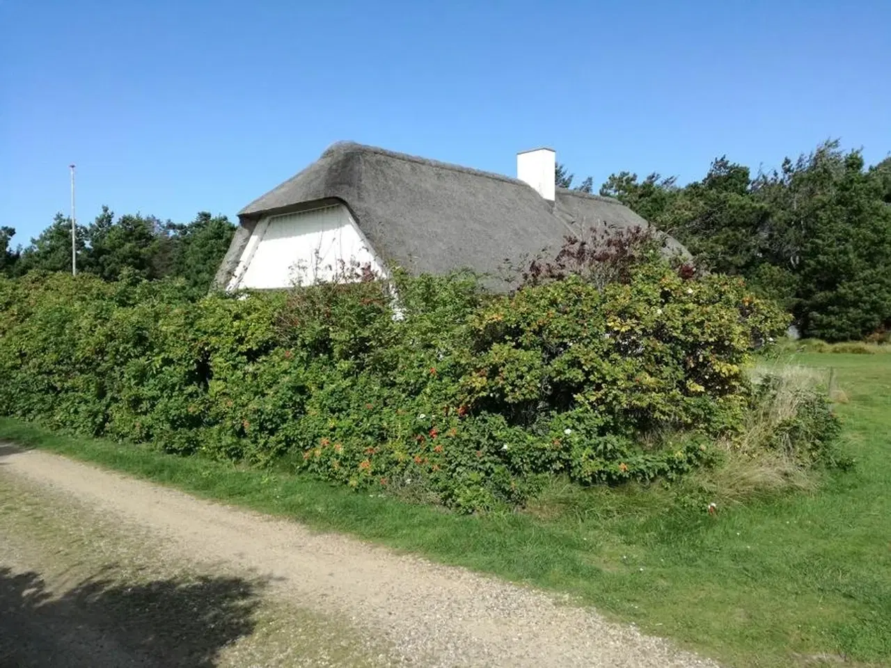 Billede 1 - Veders� - Vesterhavet (500 m), 112 m2 stort nyt�kket str�t�kt muret hus for 6 personer. Rolig beliggenhed p� 2200 m2 stor grund, med l� og stor gr�spl�ne foran huset. Mulighed for mange aktiviteter p� grunden.