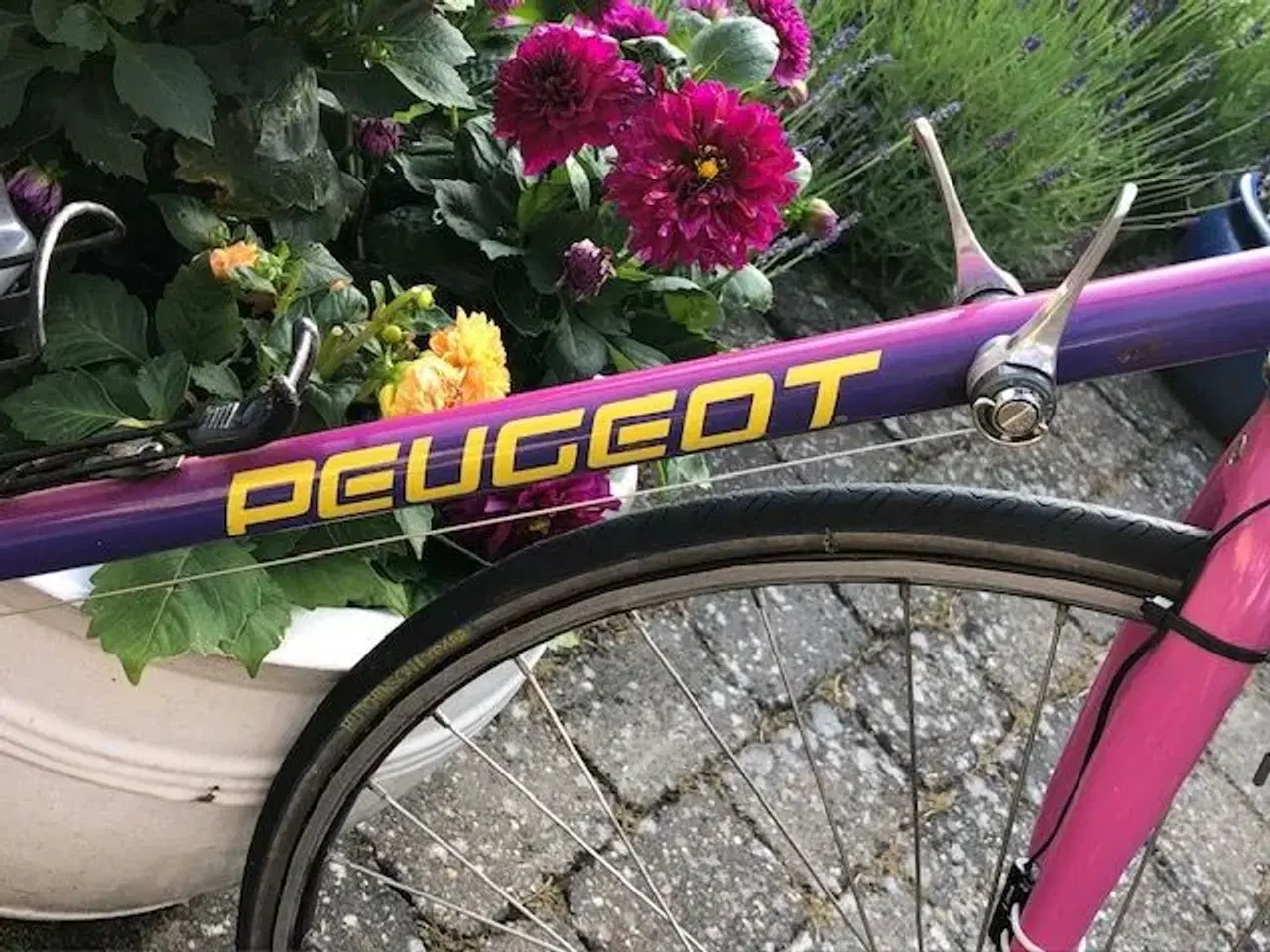 Billede 5 - Racercykel - Peugeot Tourmalet