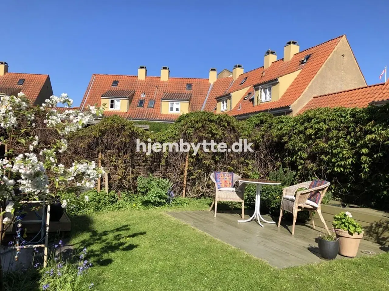 Billede 2 - Hjembytte - Pilevangen