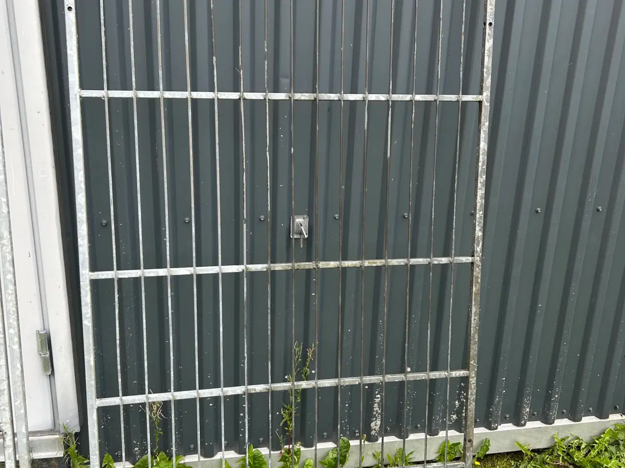 Billede 2 - Hundegård 