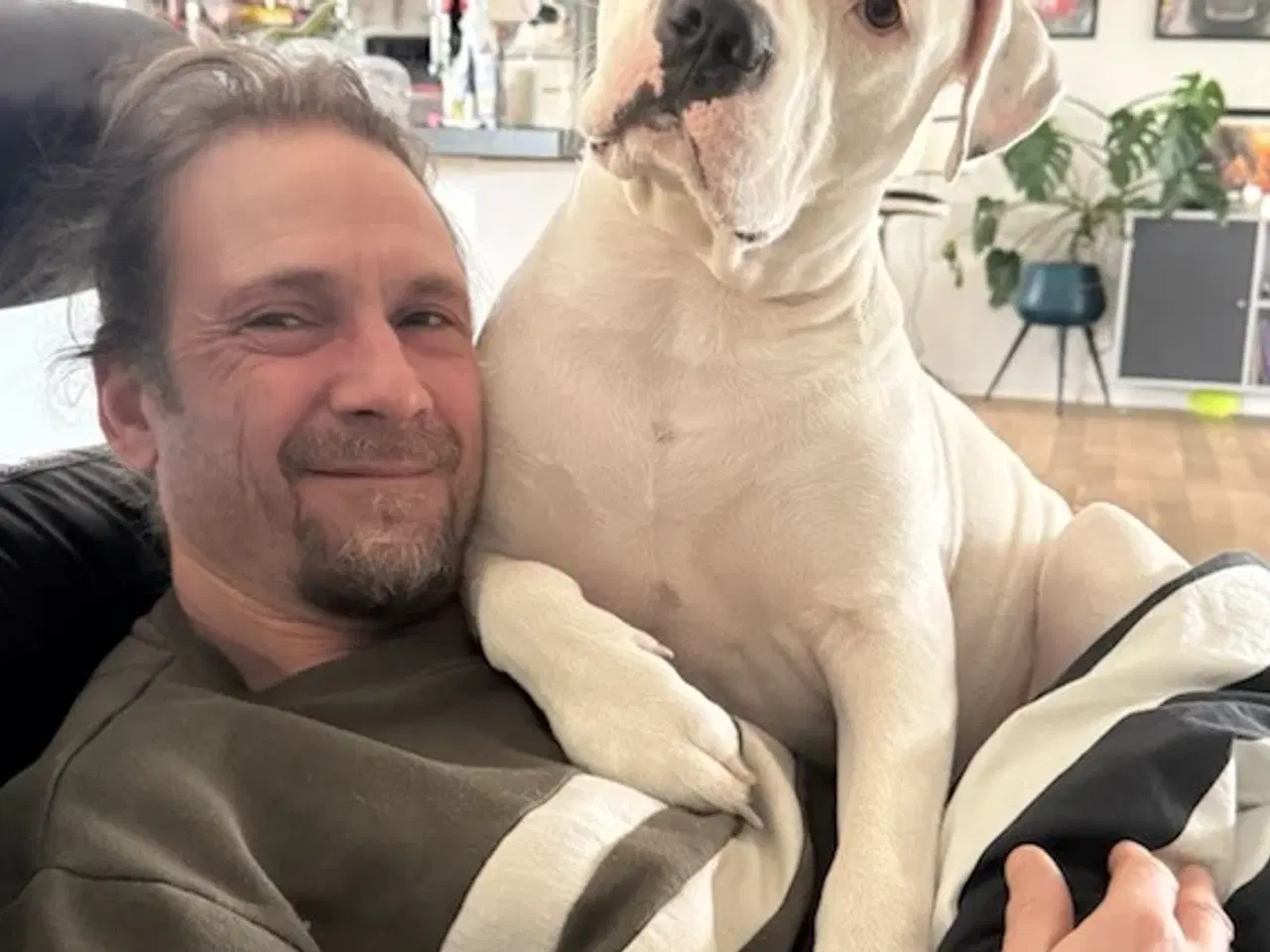 Billede 1 - Håndværkshjælp