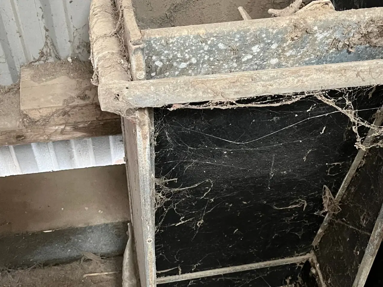 Billede 2 - - - - til kvæg