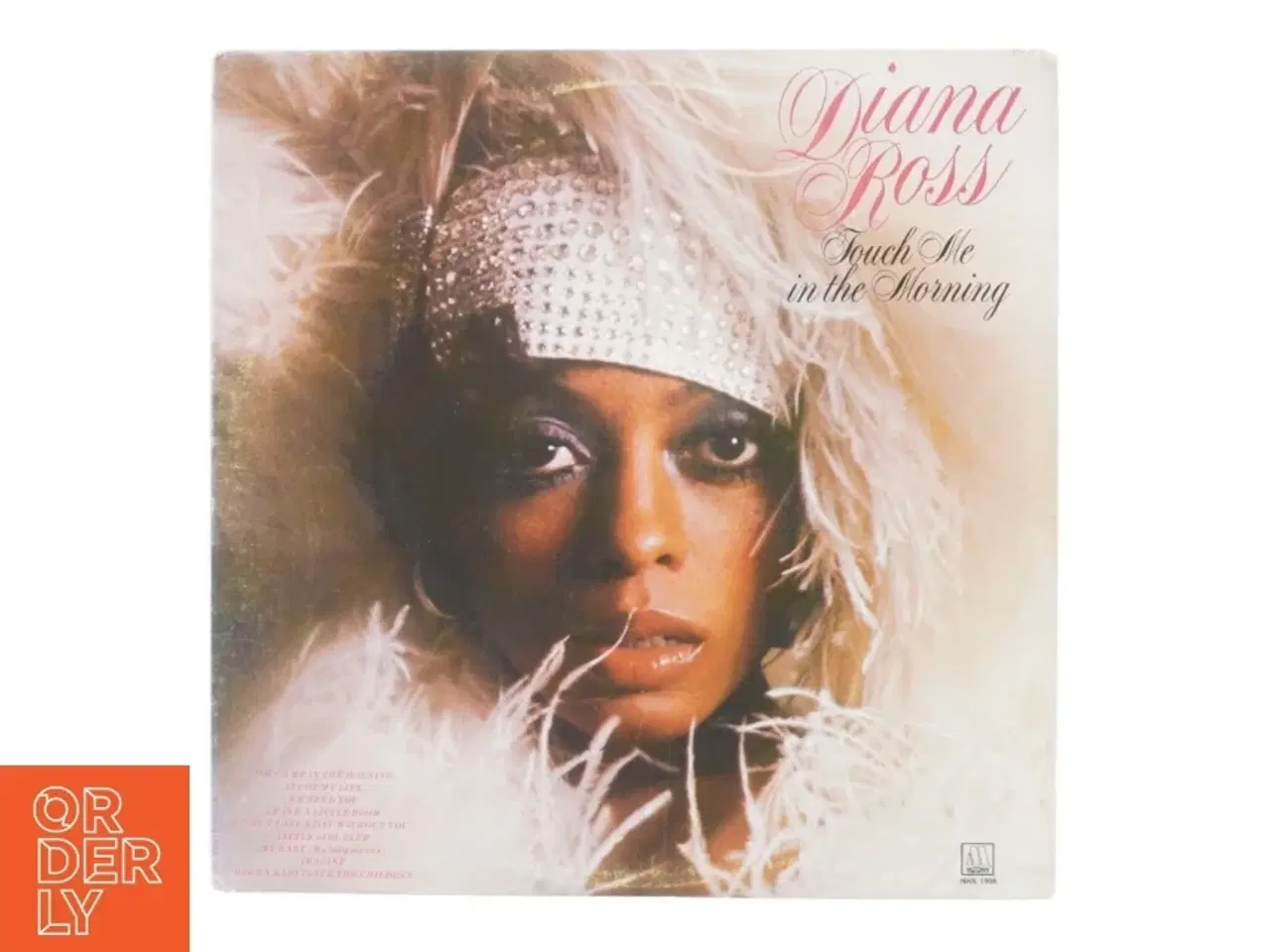 Billede 1 - Diana Ross, touch me in the morning fra Motown (str. 30 cm)