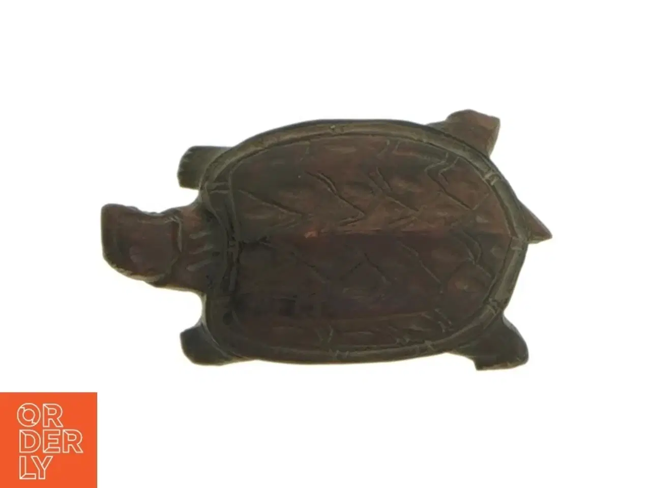 Billede 7 - sten skildpadder (str. 5-7 cm)