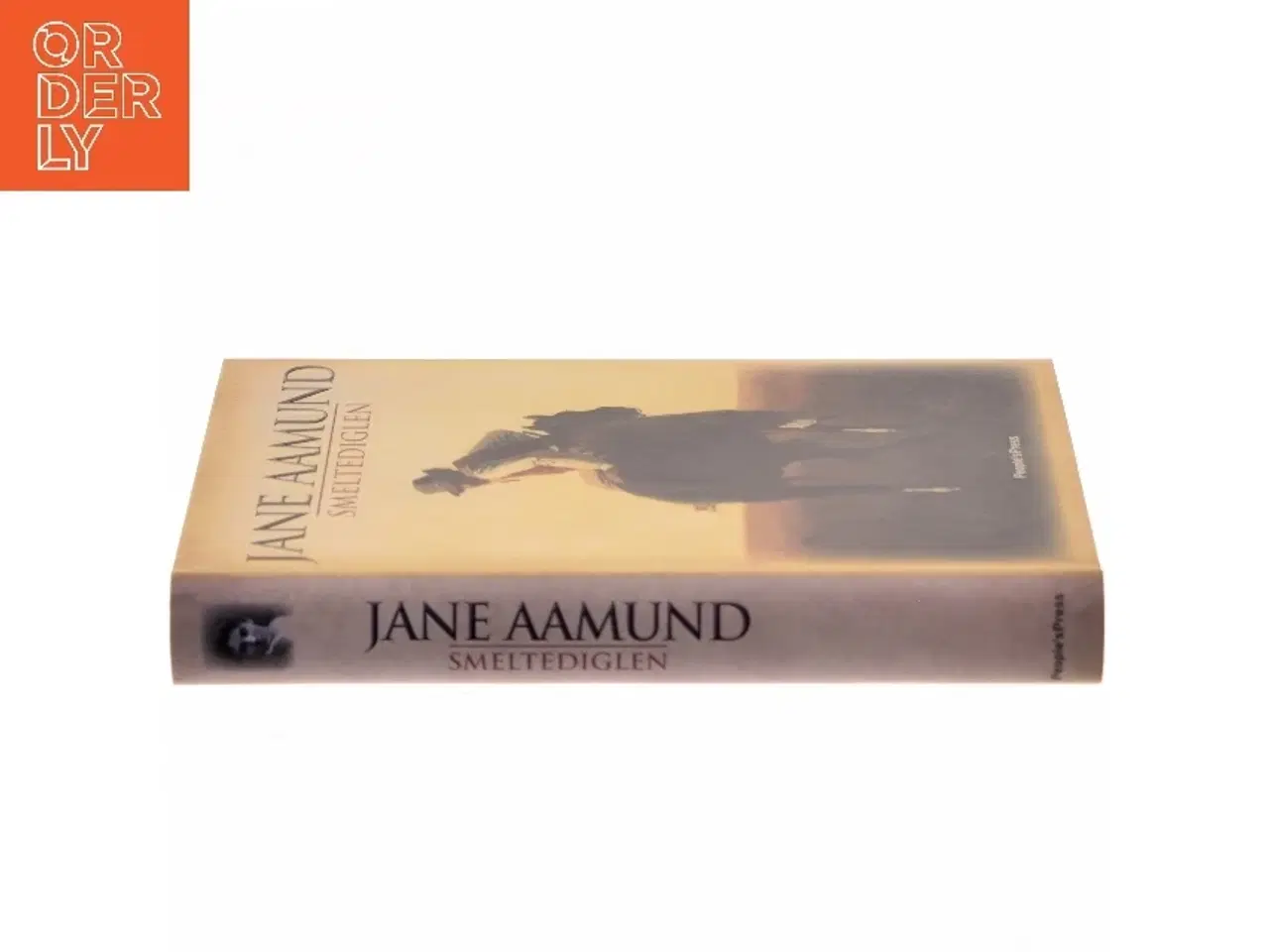 Billede 2 - Smeltediglen : andet bind i slægtskrøniken om de dansk-argentinske indvandrere : roman af Jane Aamund (Bog)