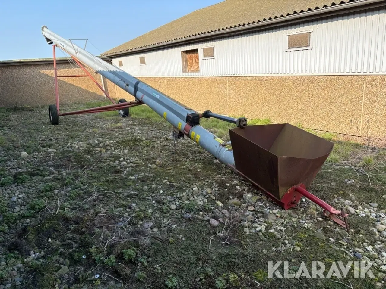 Billede 2 - Kornsnegl Hutchinson