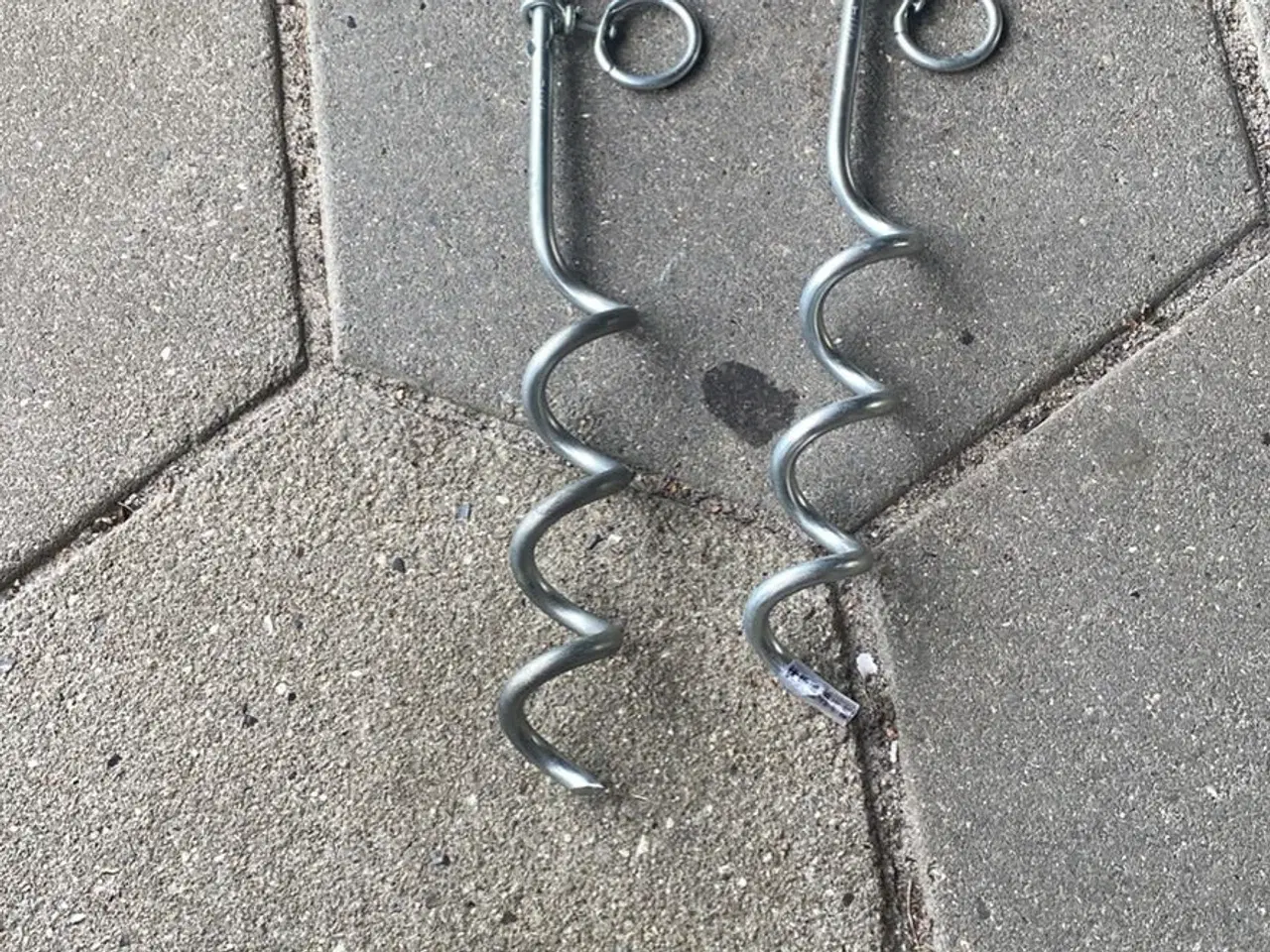 Billede 1 - Hunde bor til snor 