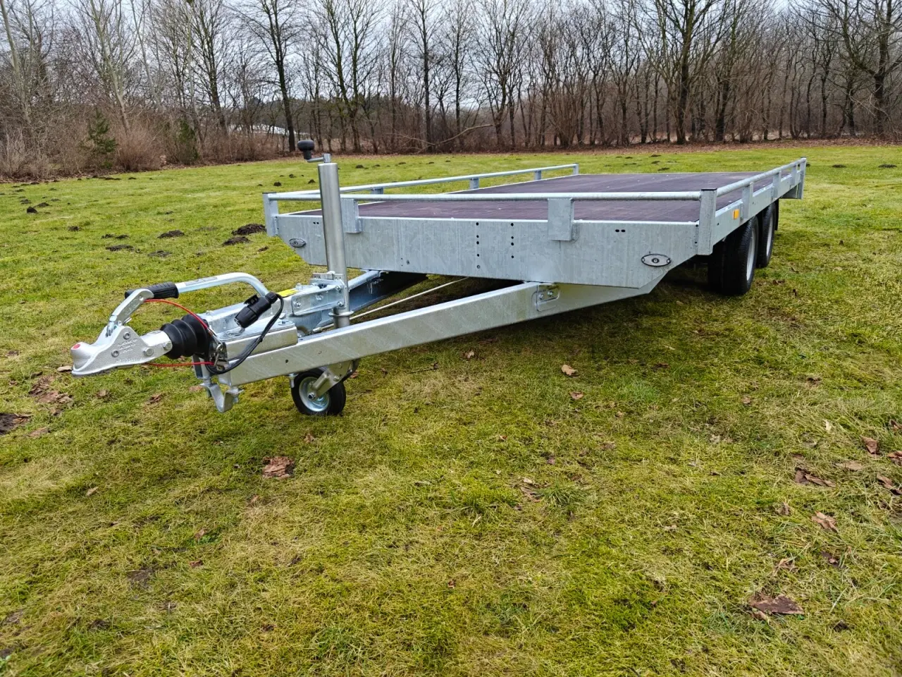 Billede 6 - Eduard trailer 4020-3000 Multi - Reiling