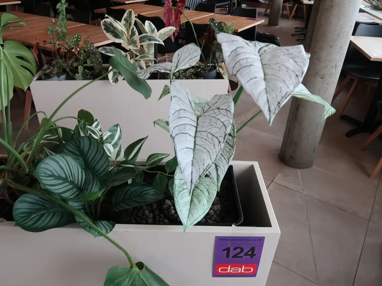 Billede 2 - Plantekasse på hjul