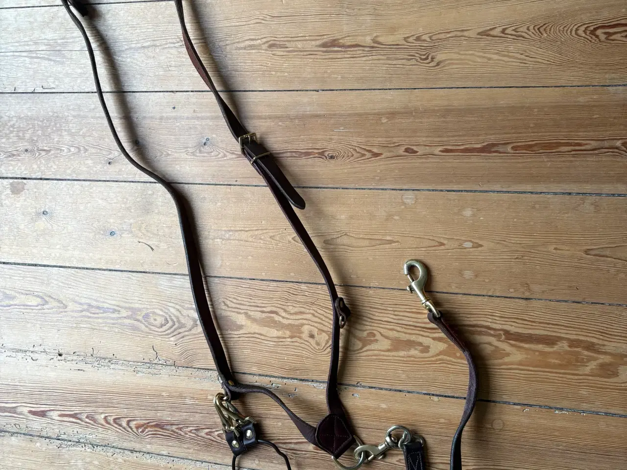 Billede 1 - Hunderem med galge