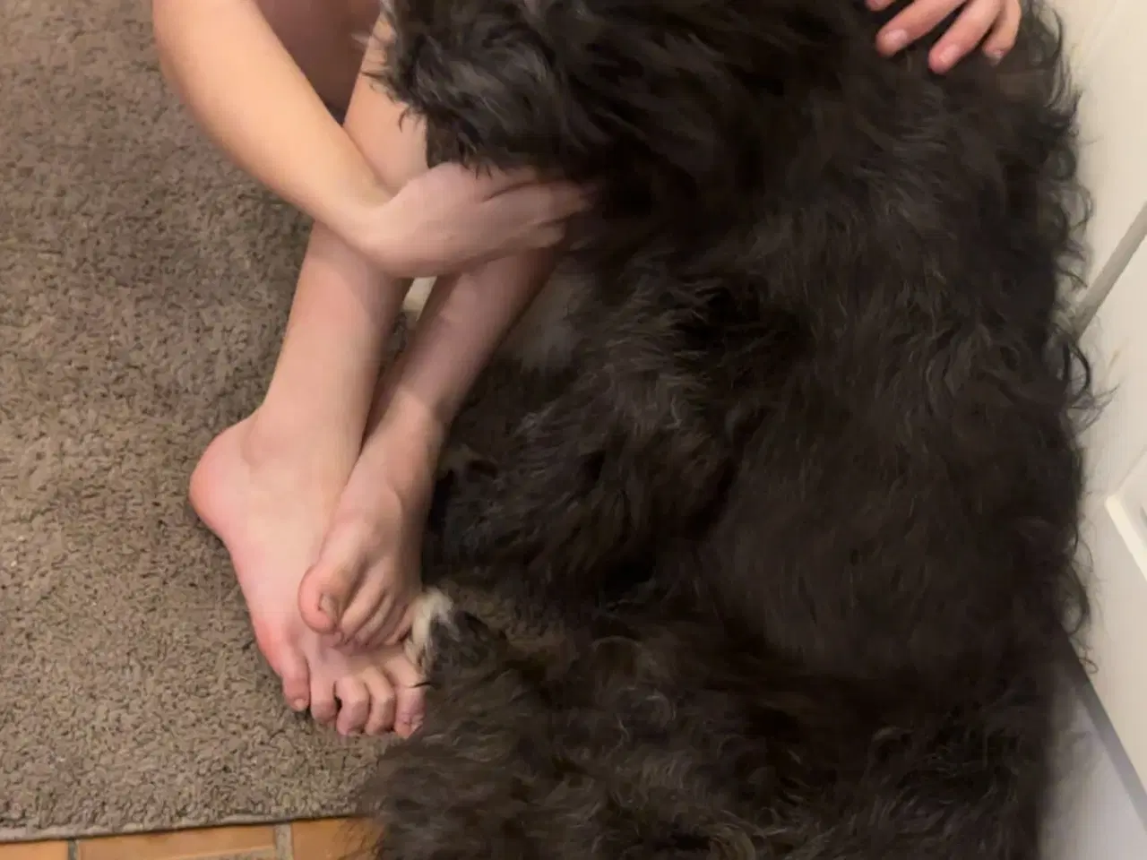 Billede 2 - Sødeste uldtot 