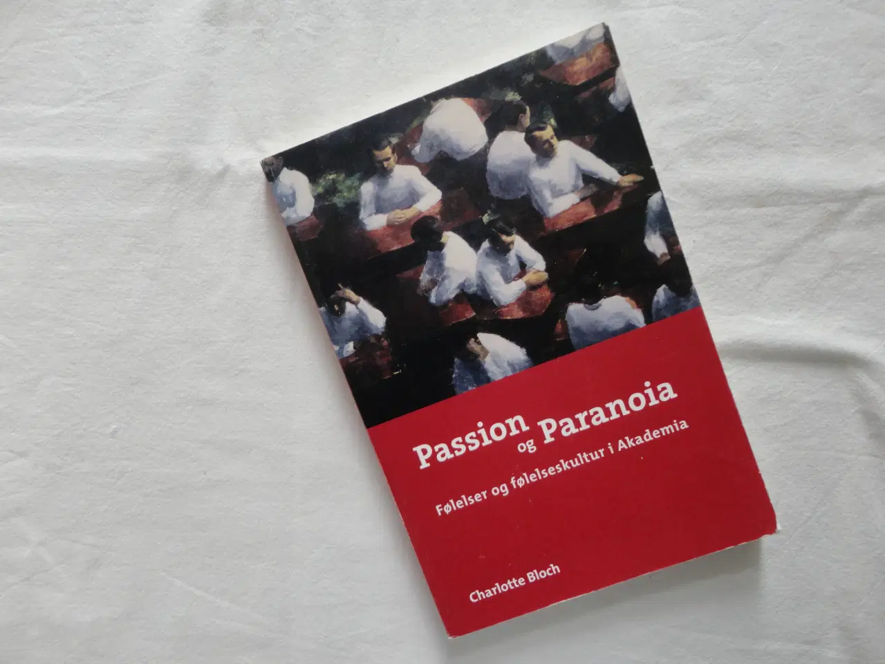 Billede 1 - Passion og Paranoia :