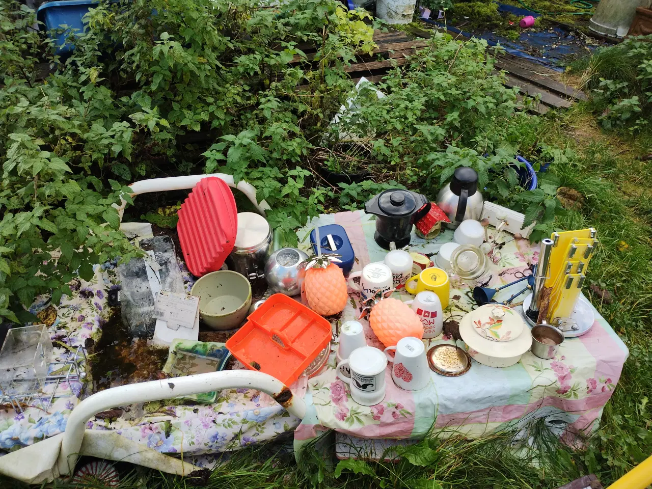 Billede 12 - Gratis, kom og hent