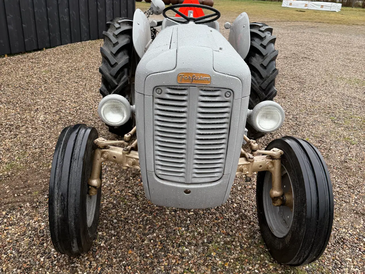 Billede 2 - Ferguson guldfugl