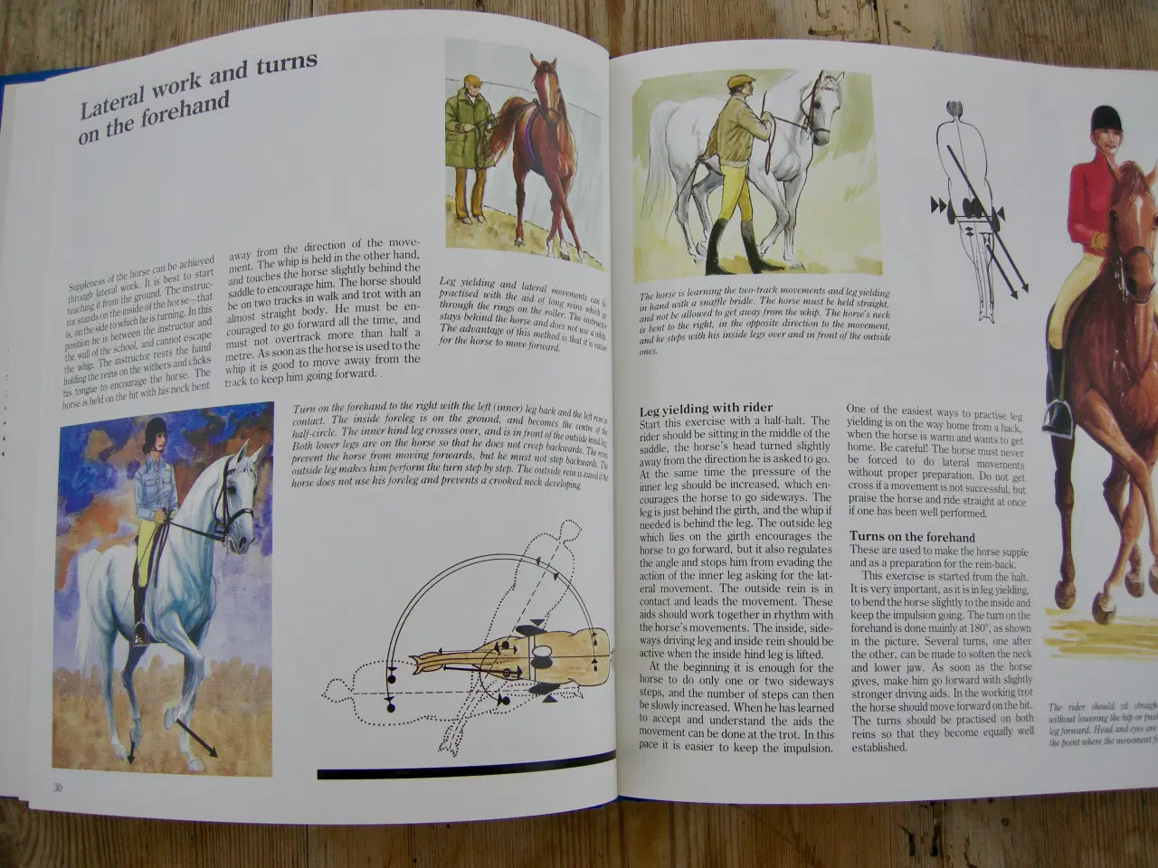 Billede 8 - THIS IS RIDING, Gunnar Hedlund, Hestebog engelsk 