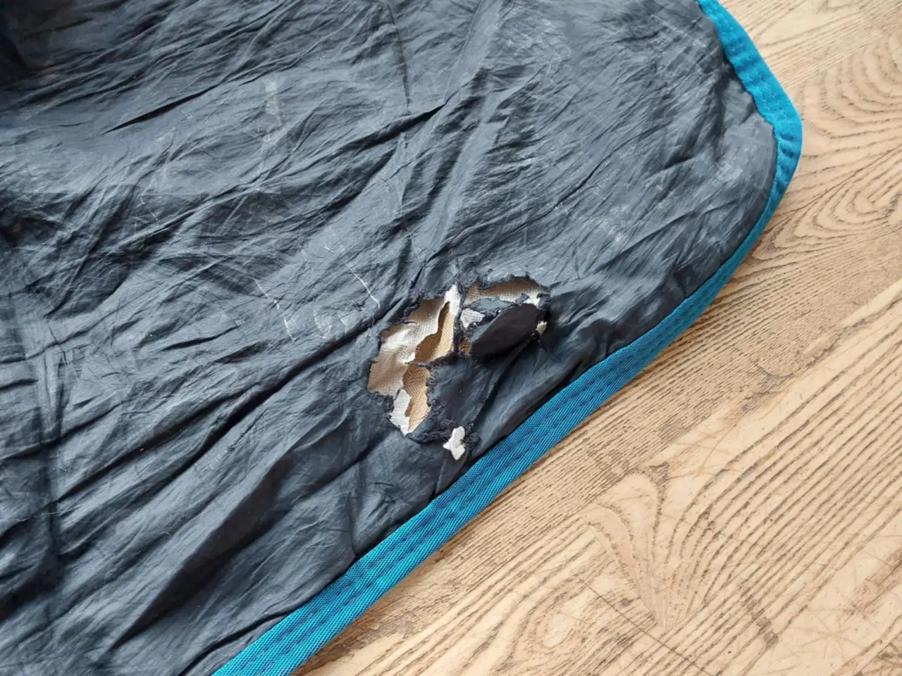 Billede 4 - Premier Equine Stratus 100g med hals str 165 cm