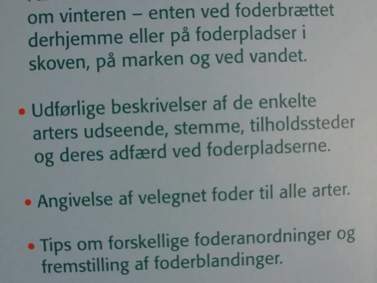 Billede 3 - fugle ved foderbrættet artsbestemmelse og fodring,