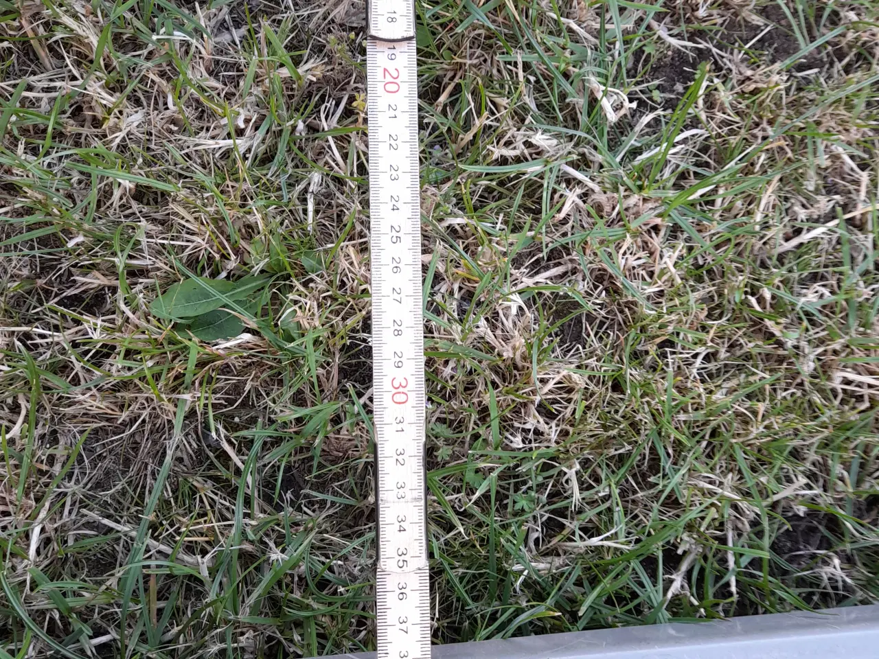 Billede 15 - Sæder til kistebænk