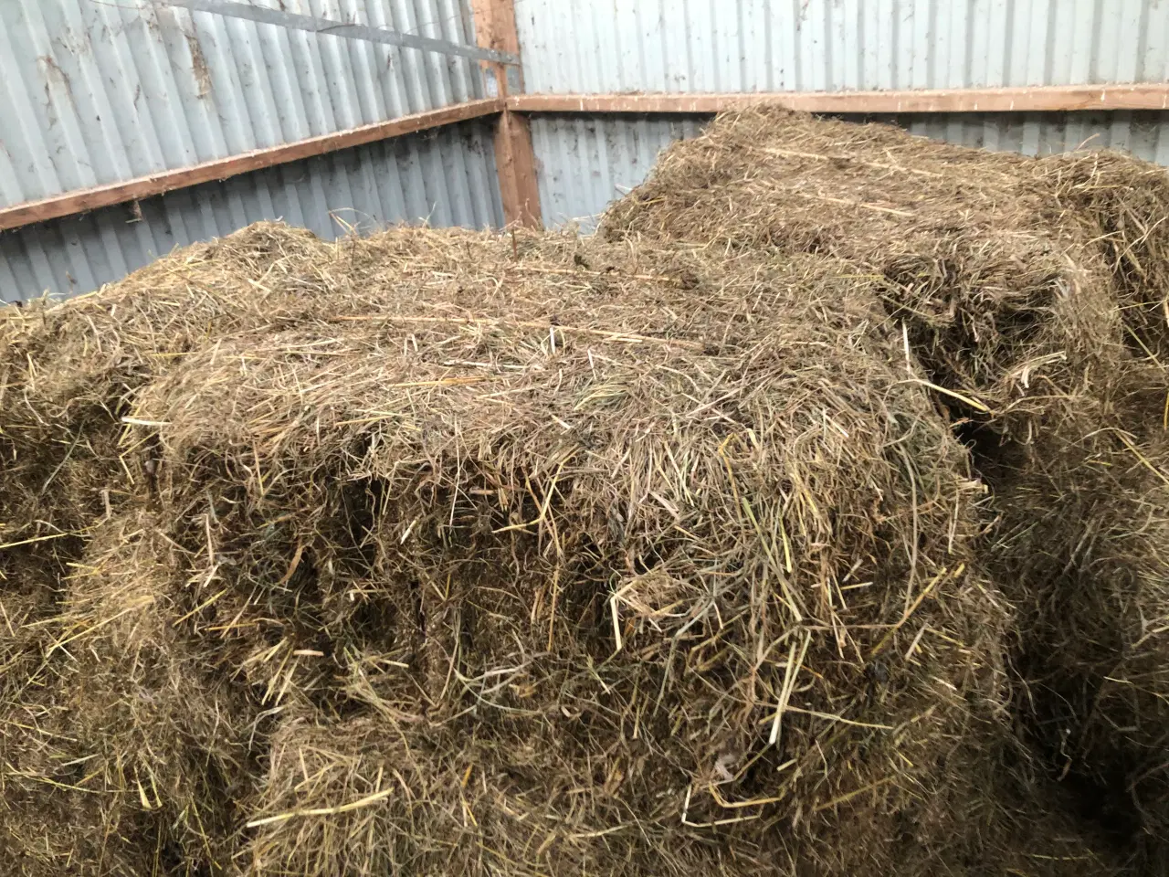 Billede 1 - Små Morten Korch høballer, dejligt støvfrit hø