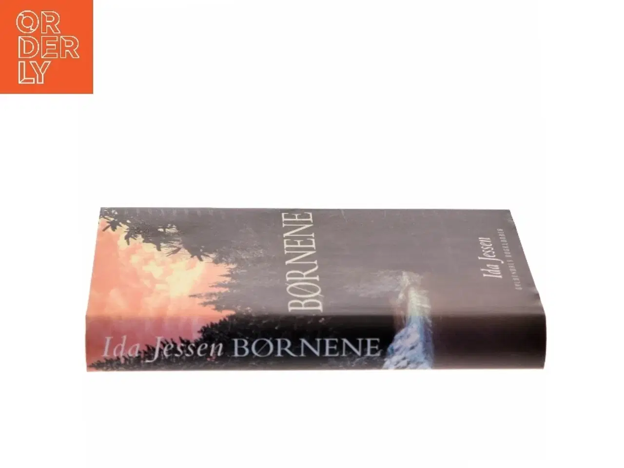 Billede 2 - Børnene af Ida Jessen (Bog)