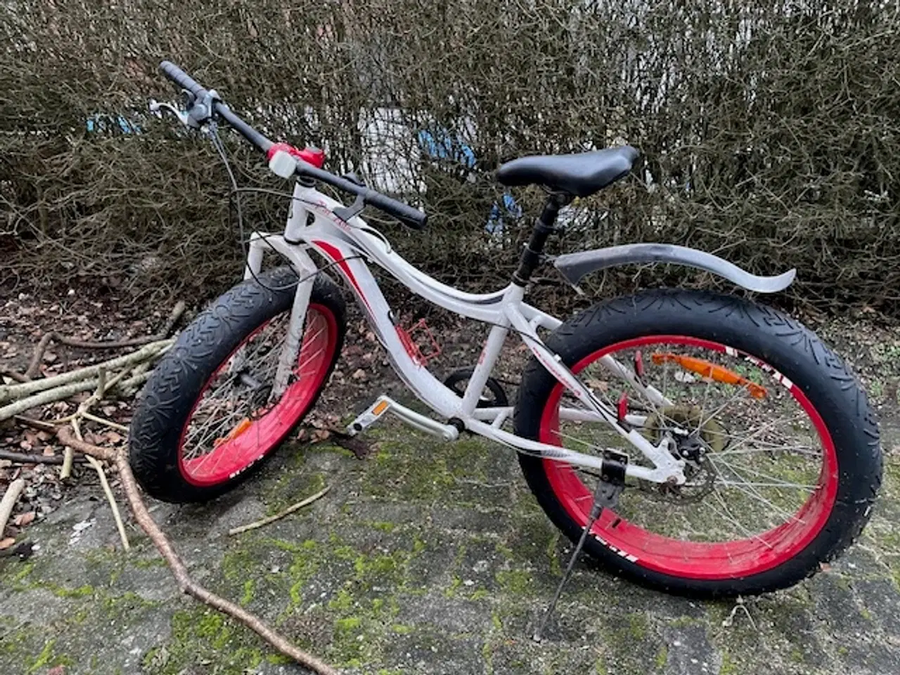 Billede 1 - Fatbike