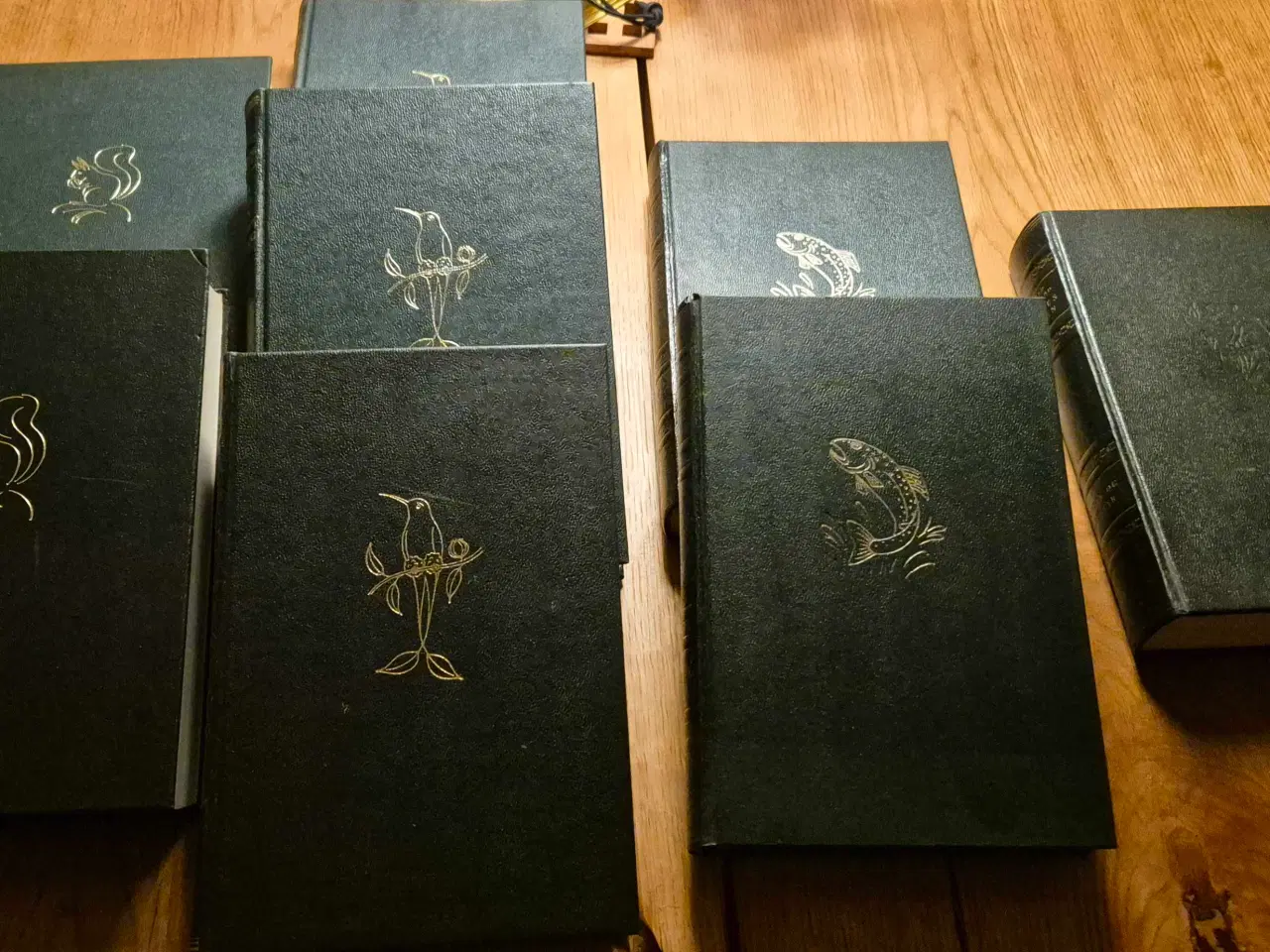 Billede 2 - DYRENES VERDEN, Ingvald Lieberkind