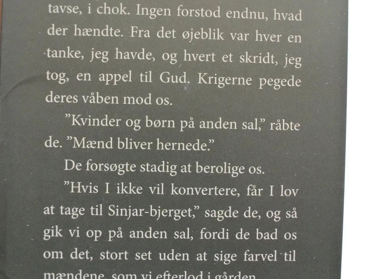 Billede 2 - den sidste pige - mit fangenskab og min kamp mod i