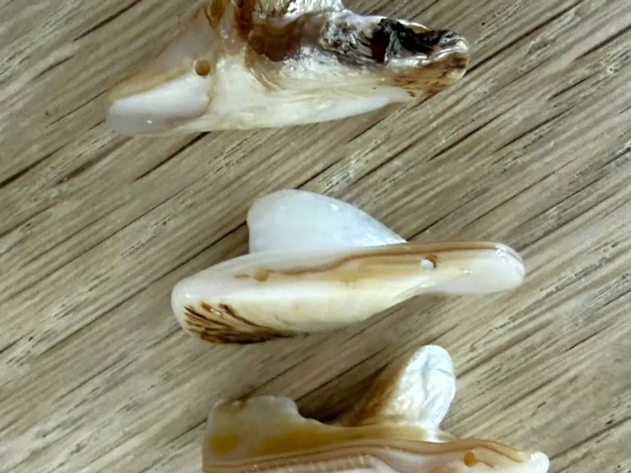 Billede 4 - Firkantede perlemors-perler 