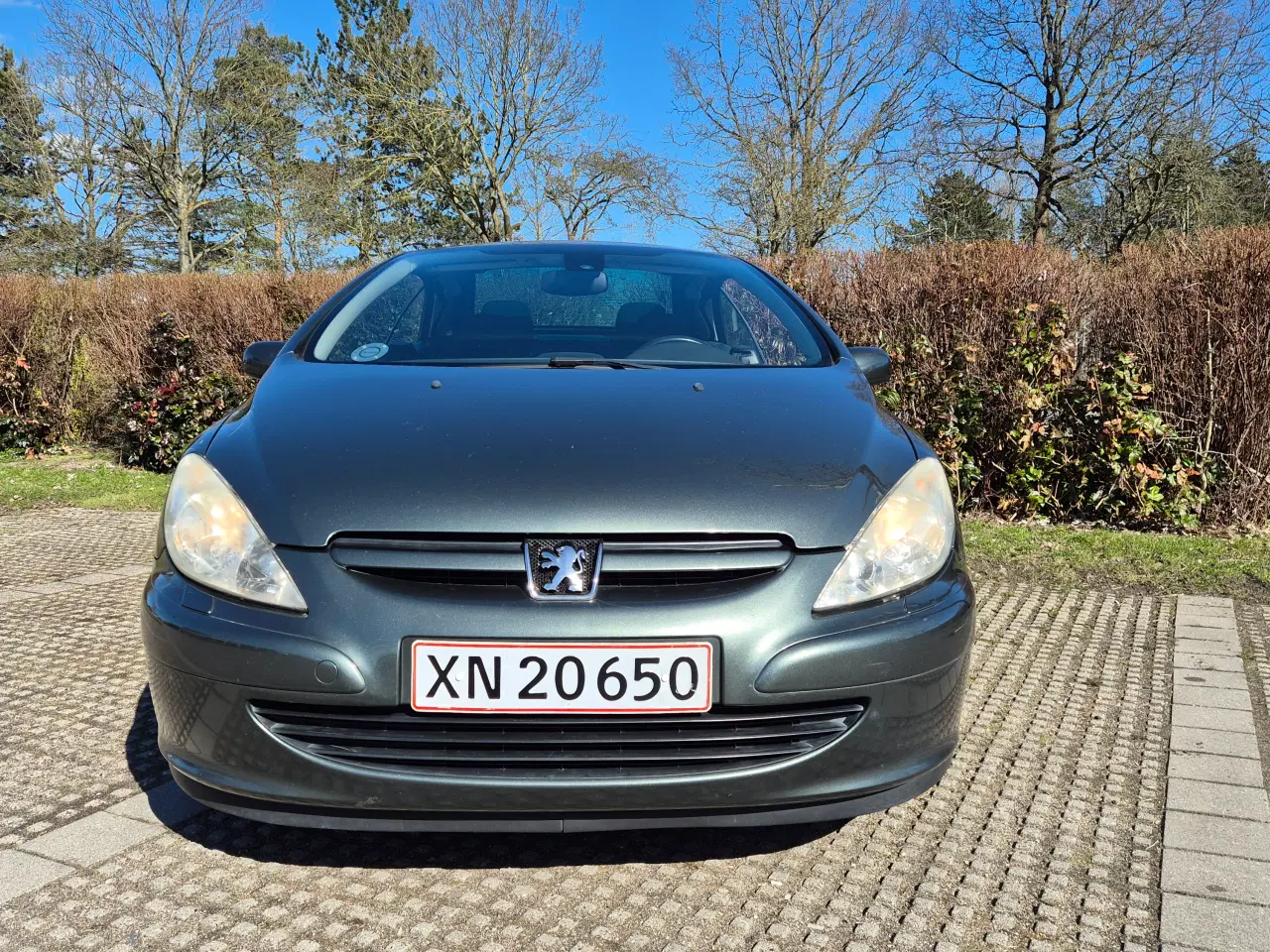 Billede 3 - 307 Cabriolet 