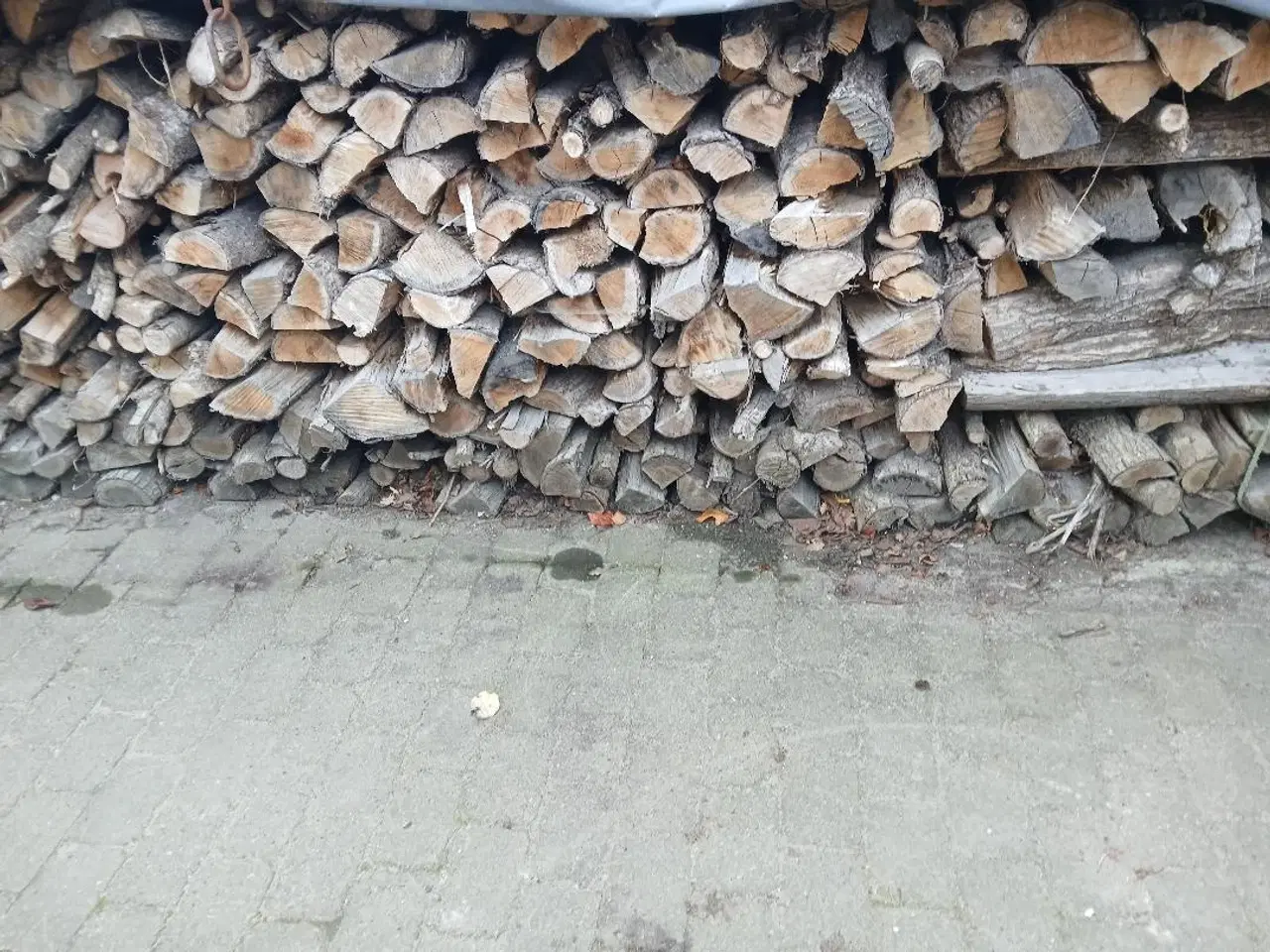 Billede 1 - egebrænde sælges 