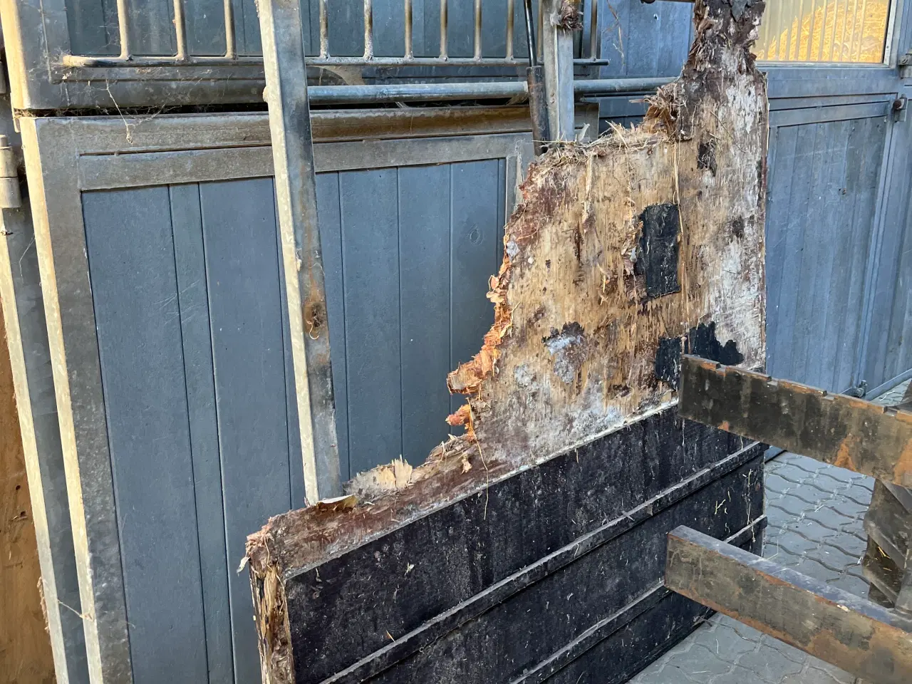 Billede 6 - Hestetrailer til reserve del 