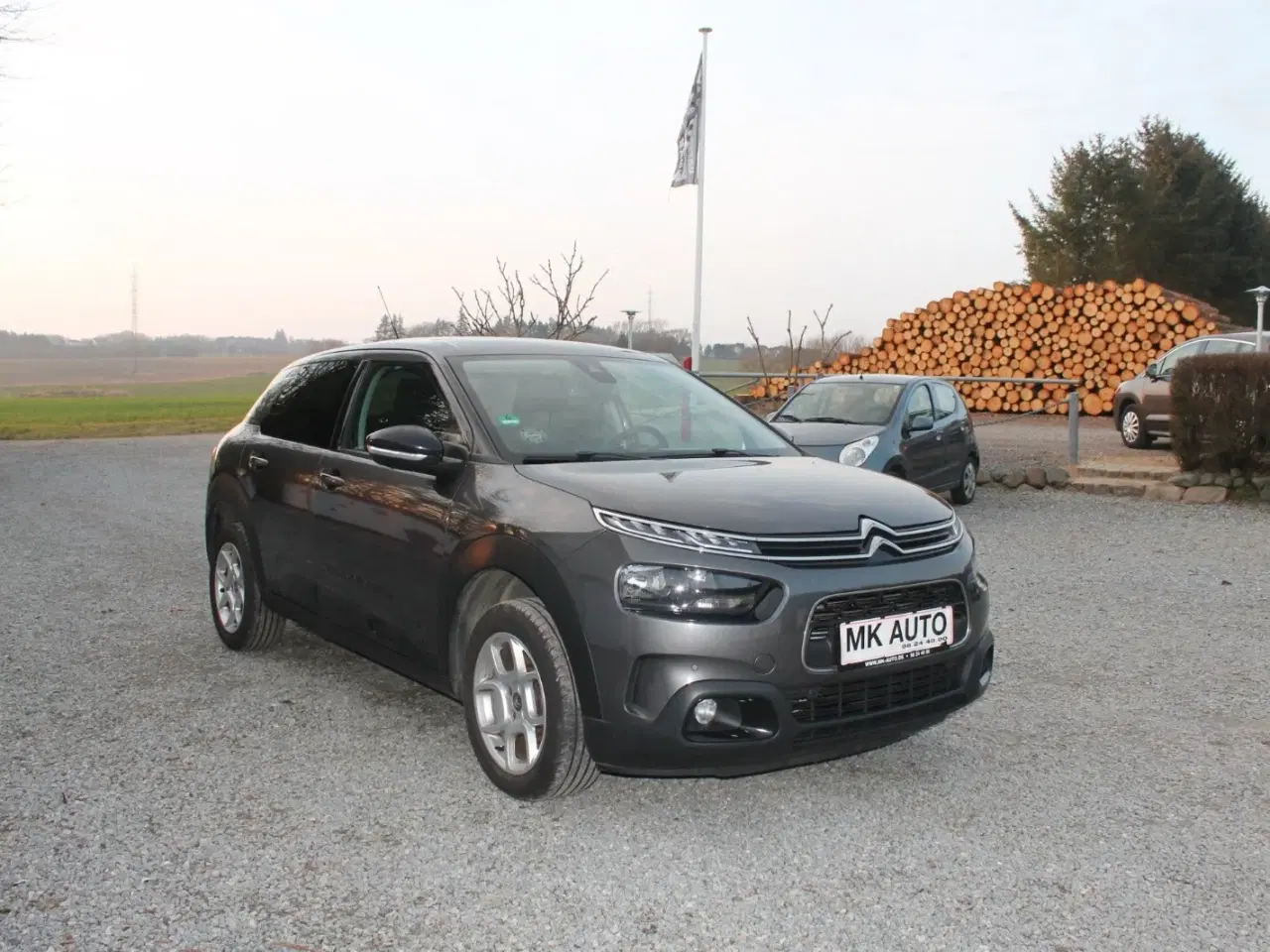 Billede 3 - Citroën C4 Cactus 1,6 BlueHDi 100 Aspire