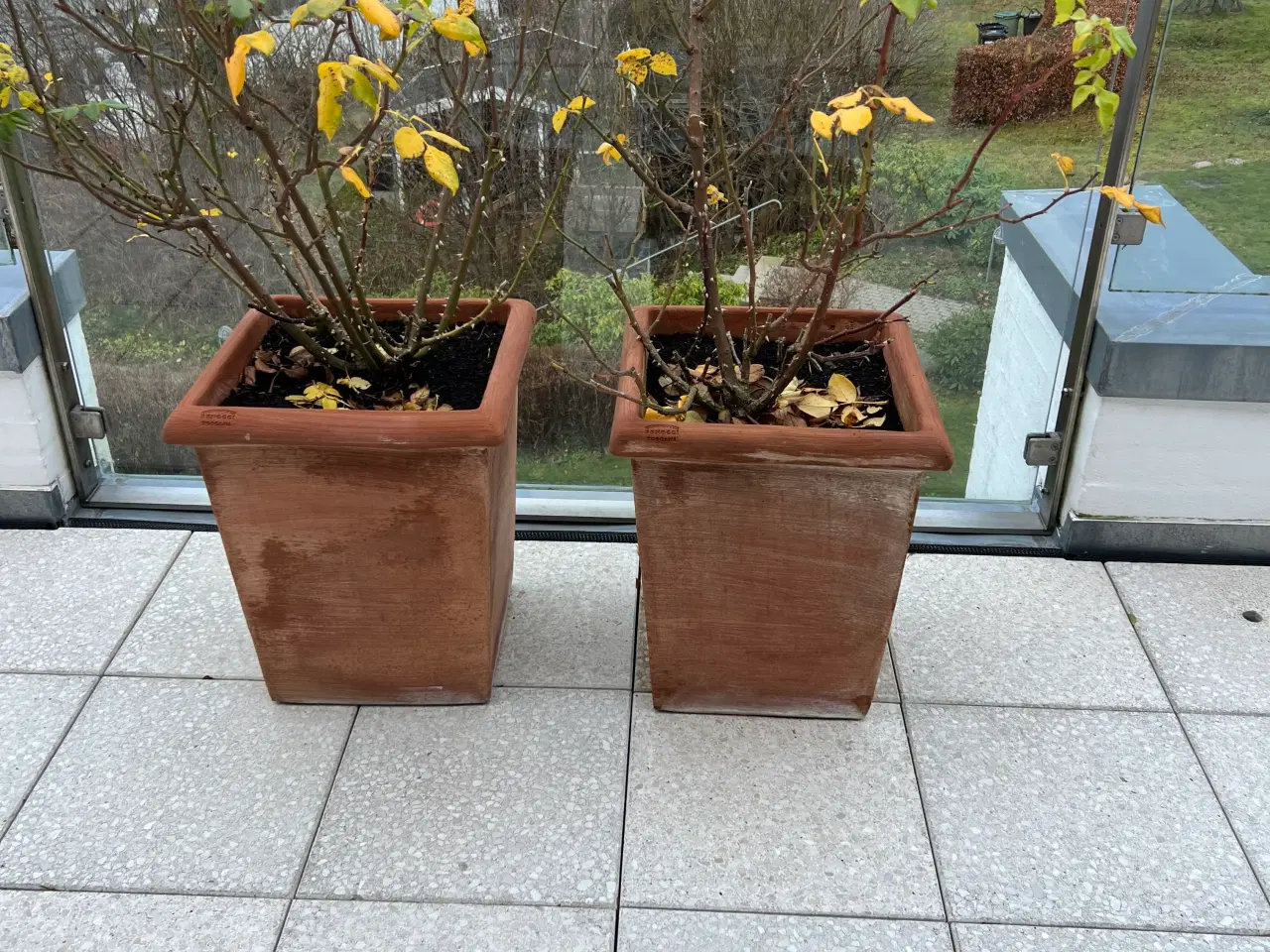 Billede 3 - 11 stk. terracotta krukker (+ 3 stk. gratis)