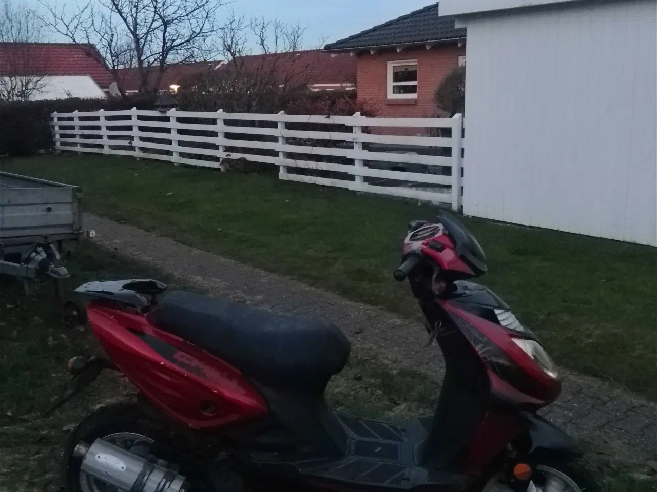 Billede 4 - Texas chilli 30kmt lovlig 