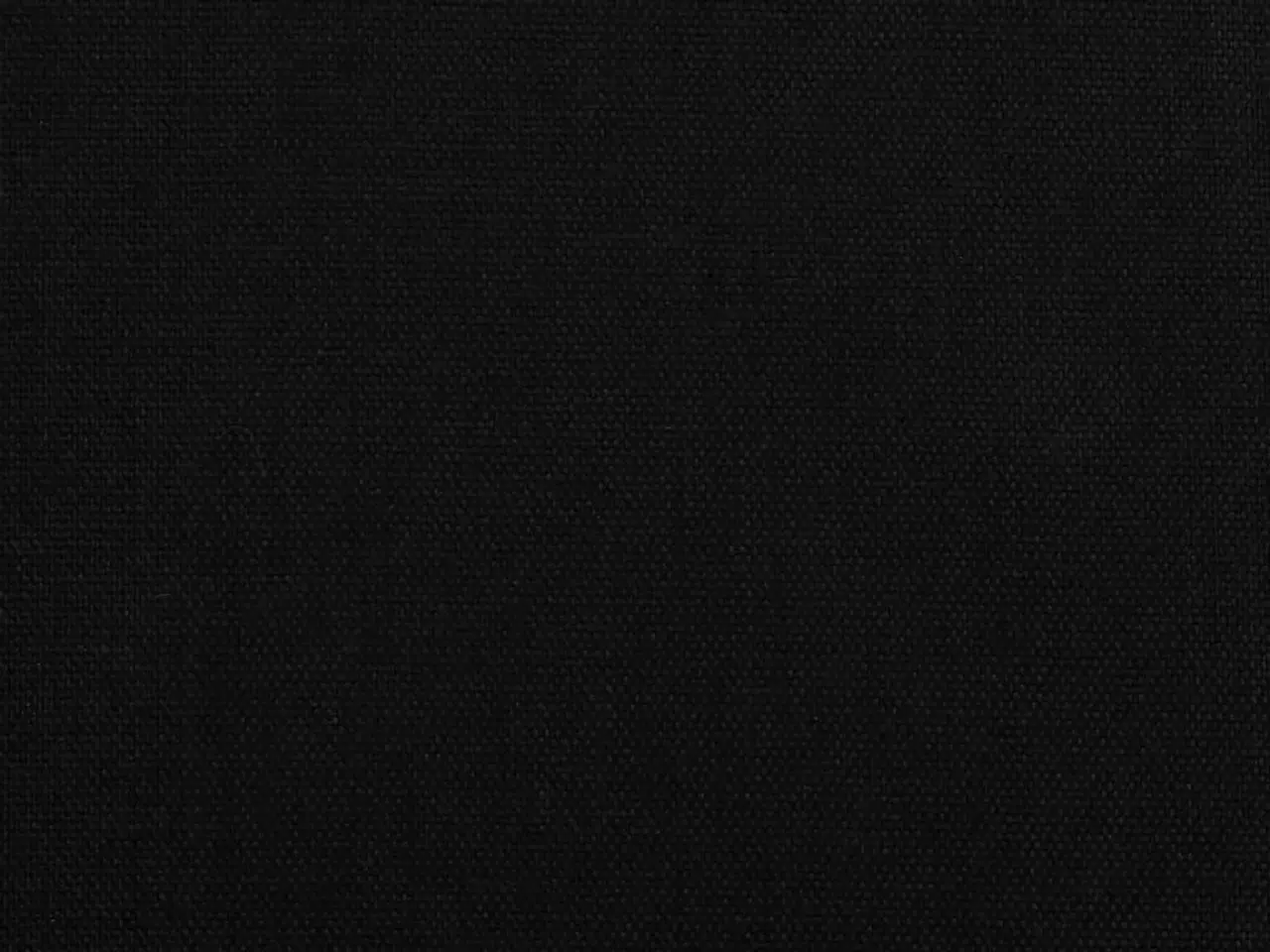 Billede 12 - Cykeltrailer til kæledyr oxfordstof og jern sort