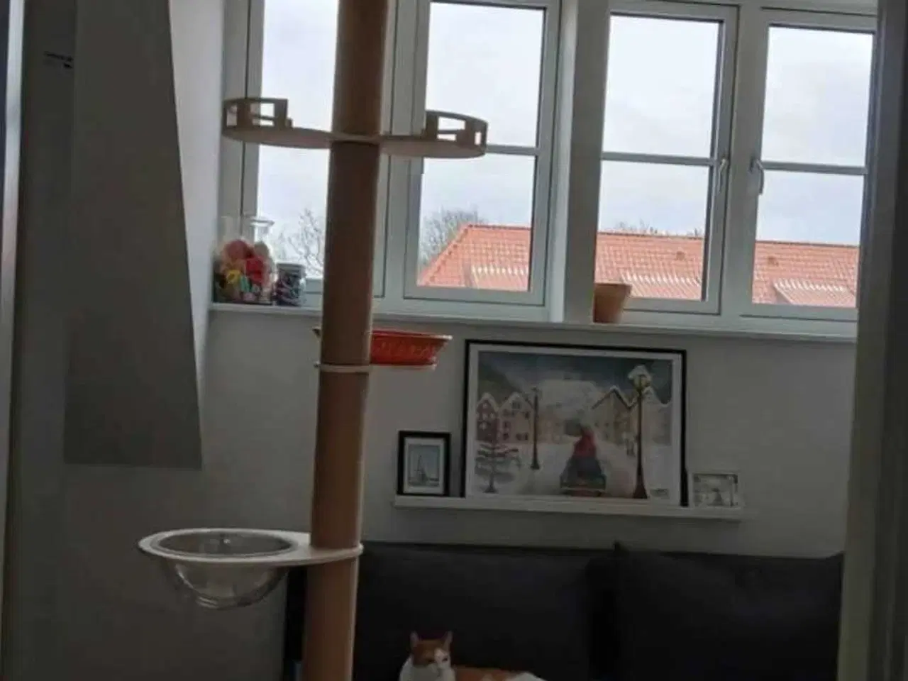 Billede 1 - Kradsetræ fra gulv til loft 