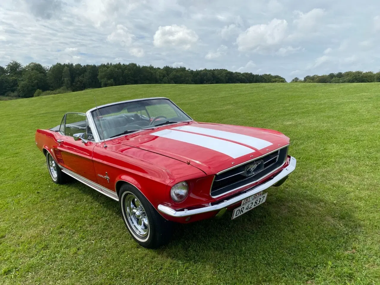 Billede 2 - Ford Mustang 4,7 V8 289cui. Cabriolet