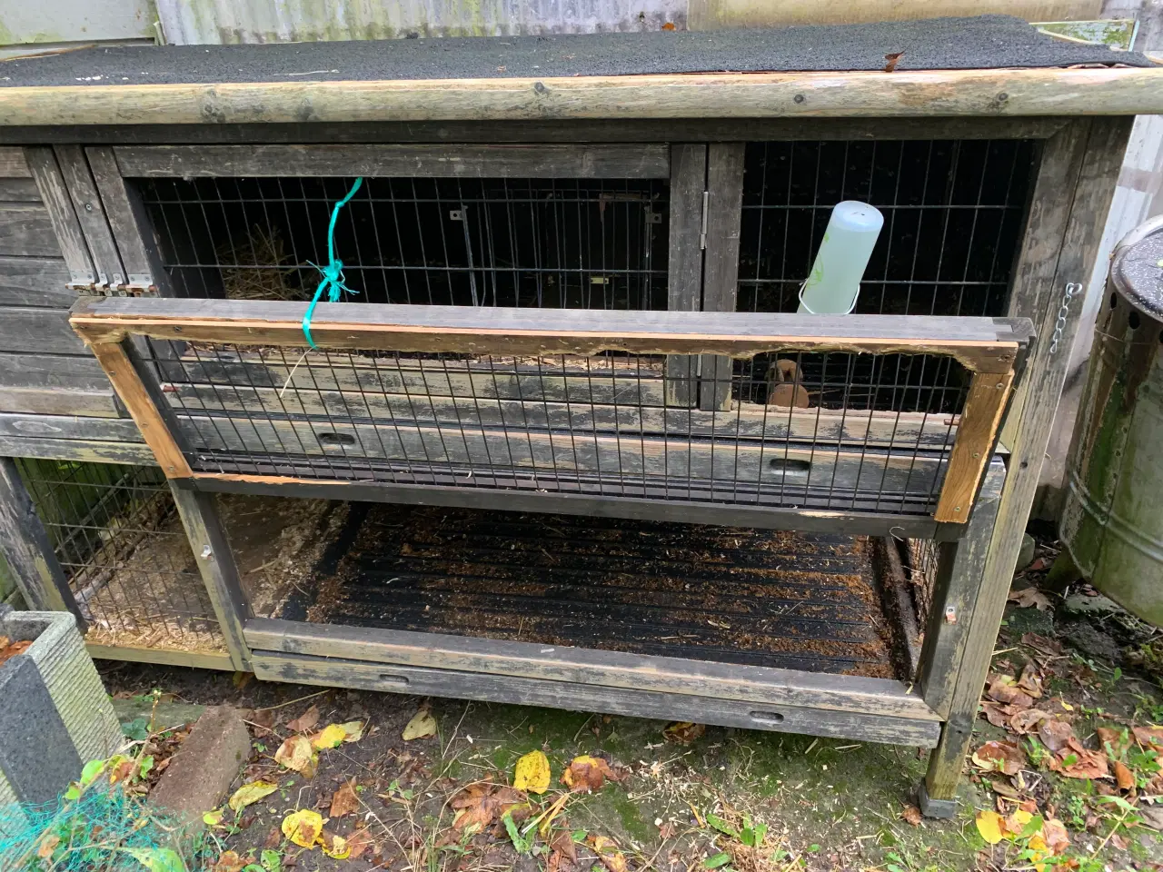 Billede 2 - Kanin bur fra Plantorama kan også bruges i en løbe