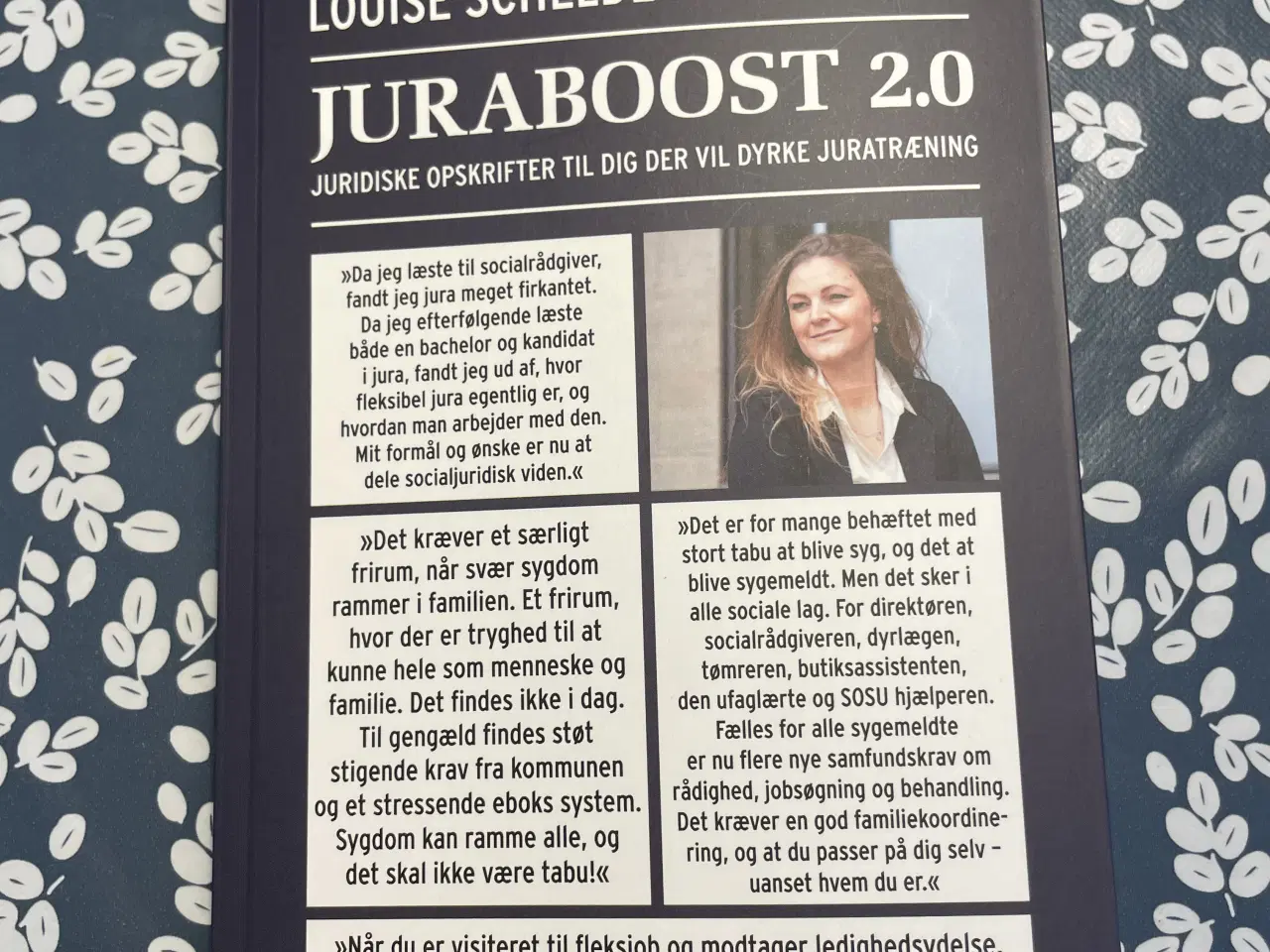 Billede 1 - Juraboost 2.0 af Louise Schelde Frederiksen