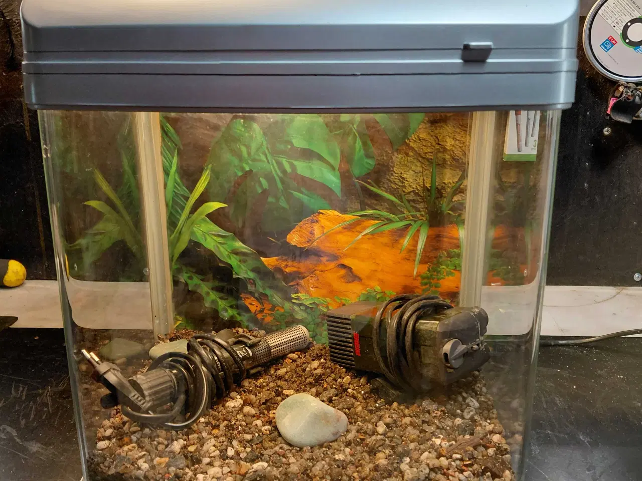Billede 2 - Akvarier 20L 