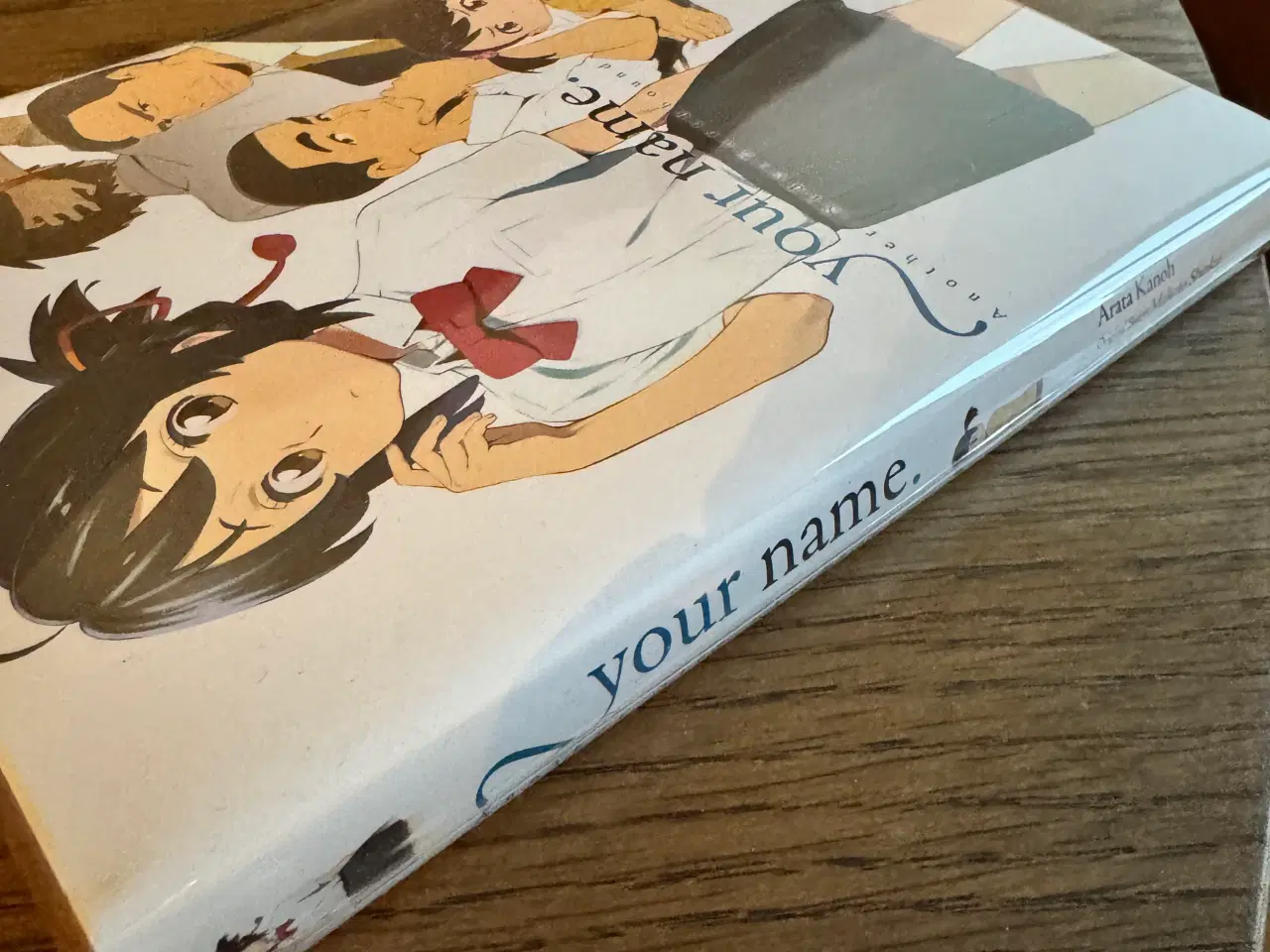 Billede 3 - Your name. Another Earthbound