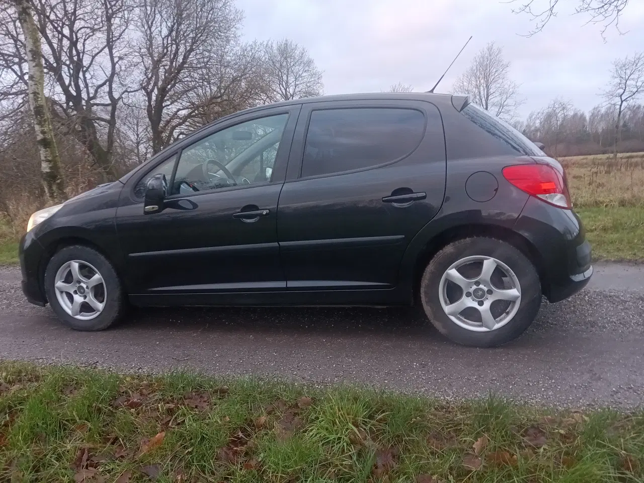 Billede 9 - Peugeot 207