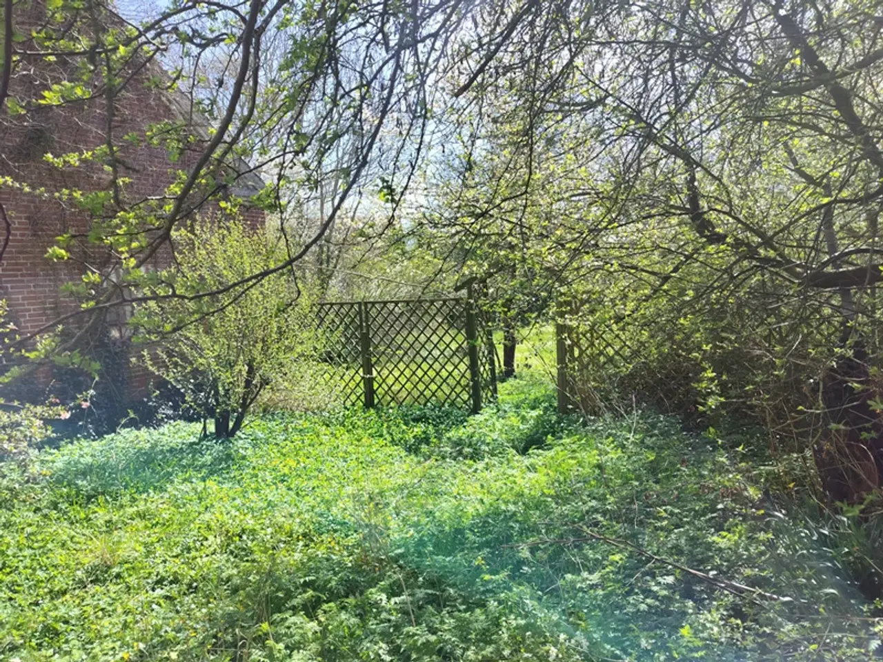 Billede 4 - Idyllisk ejendom med potentiale i Besser, Samsø
