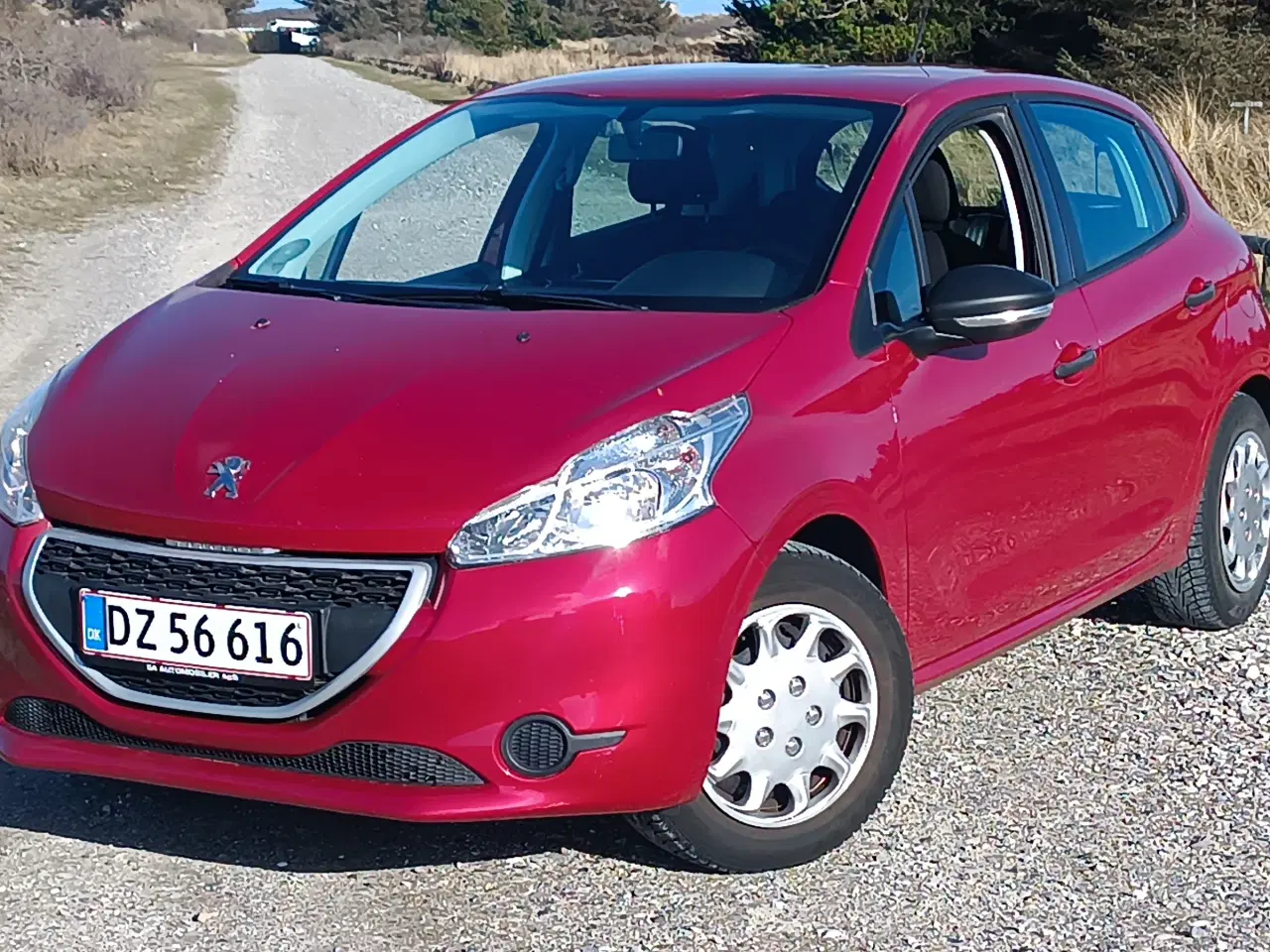 Billede 1 - ny tandrem og service 